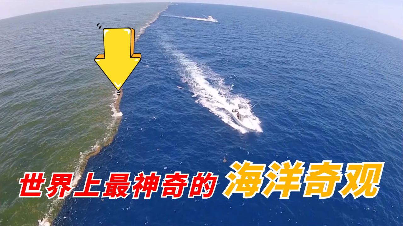 世界上最神奇的海洋奇观:两片海水紧密相连,却始终无法融合!